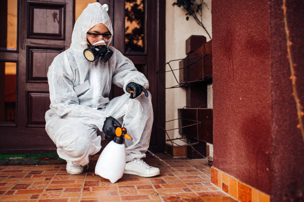 Reliable Cockroach Control contractor in Skippers Corner, NC by Nex Pest Control